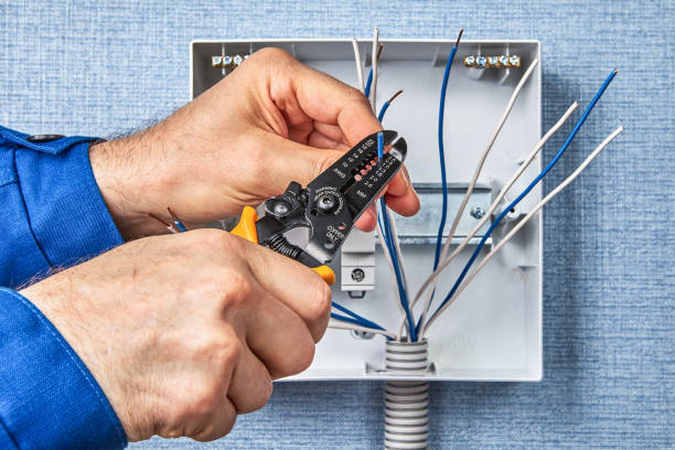 Best Electrical Maintenance Services  in Oronoco, MN